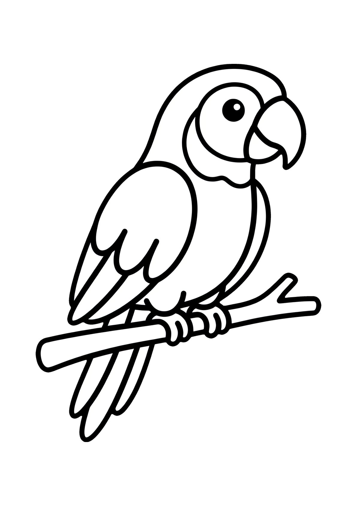 Animals Parrot