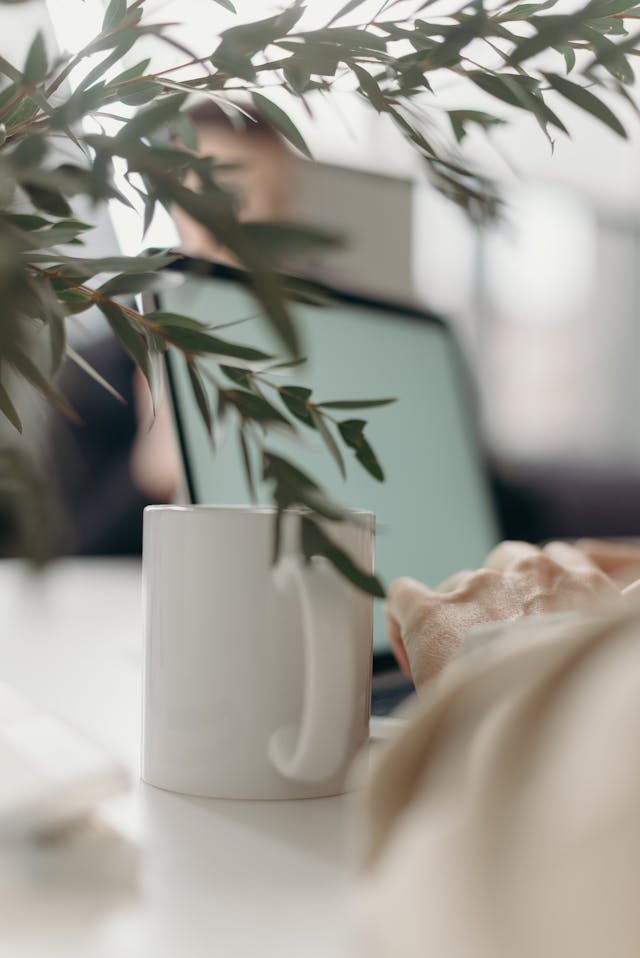 Person typing on a laptop at a desk with a plant and hot drink